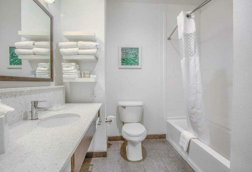 스탠다드 룸, Hampton Inn Gulf Shores