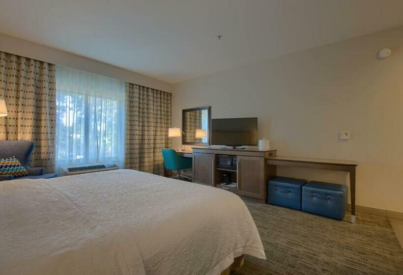 장애인을 위한 킹사이즈 침대 스탠다드 룸, Hampton Inn Gulf Shores