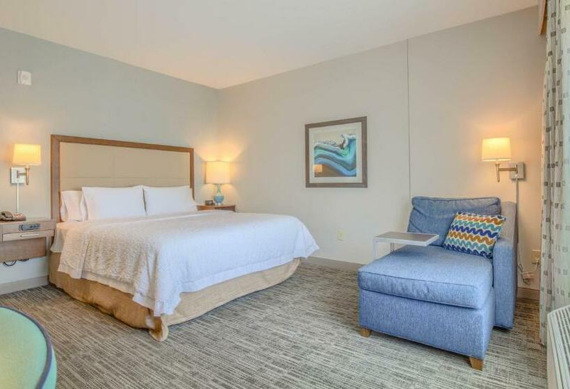 스탠다드 룸 킹사이즈 침대, Hampton Inn Gulf Shores