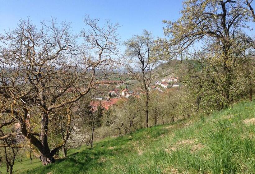Четырехместный Номер Стандарт, Alte Rose Gasthaus