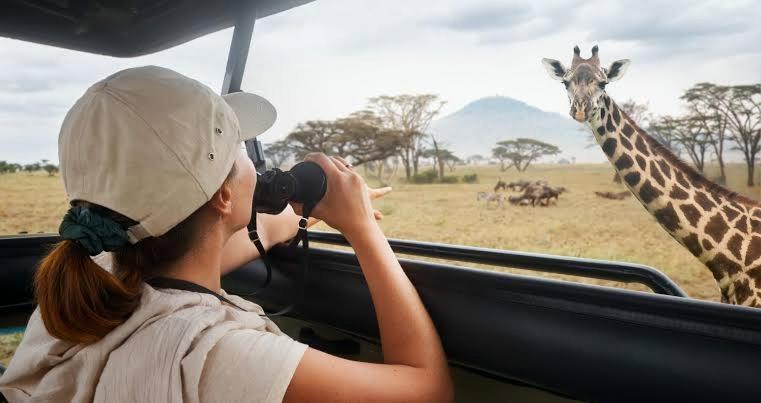 Трехместный Номер Комфорт, Mahali Muzuri, Arusha