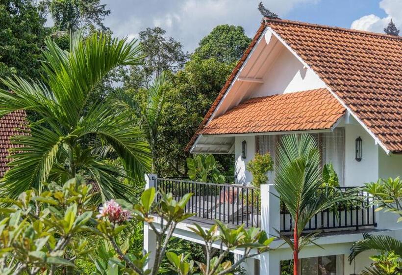 Дом 2 Спальни, The White Villas Ubud
