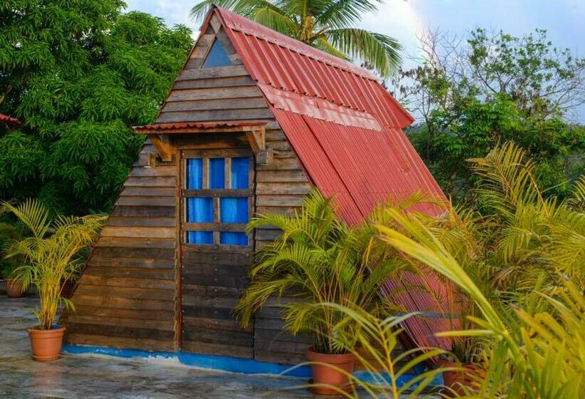 آپارتمان 1 خوابه با چشم‌انداز, Tinyhouse Samaná