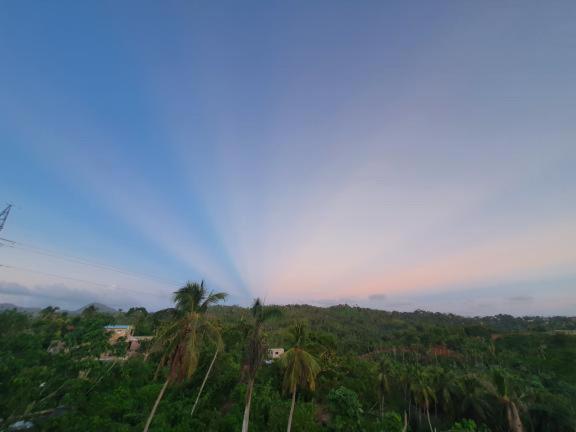 آپارتمان 1 خوابه با چشم‌انداز, Tinyhouse Samaná