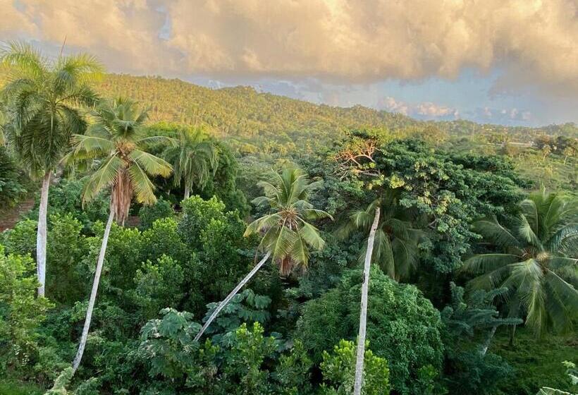 آپارتمان 1 خوابه با چشم‌انداز, Tinyhouse Samaná
