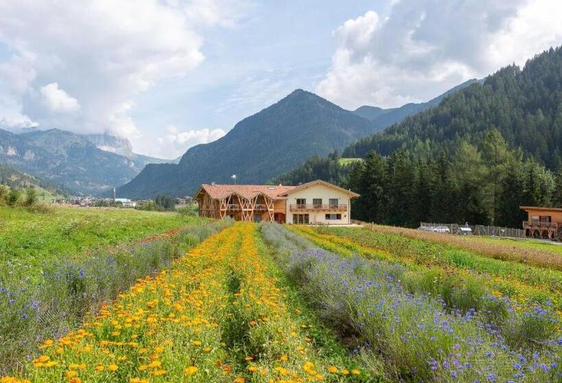 اتاق استاندارد با تخت بزرگ, Eco Green Fiores Agriturismo