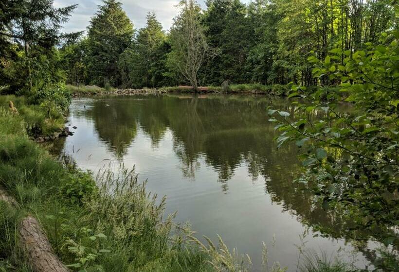 Номер Basic, Healing Ponds Farm
