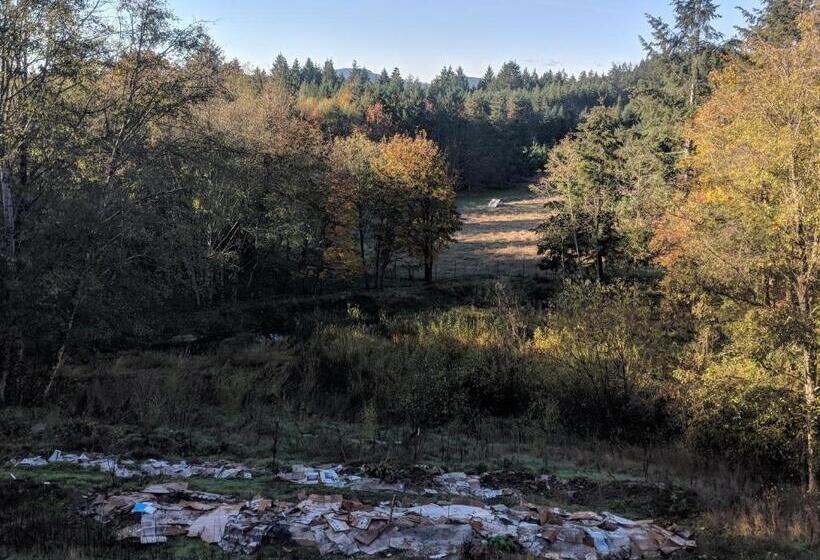 Номер Basic, Healing Ponds Farm