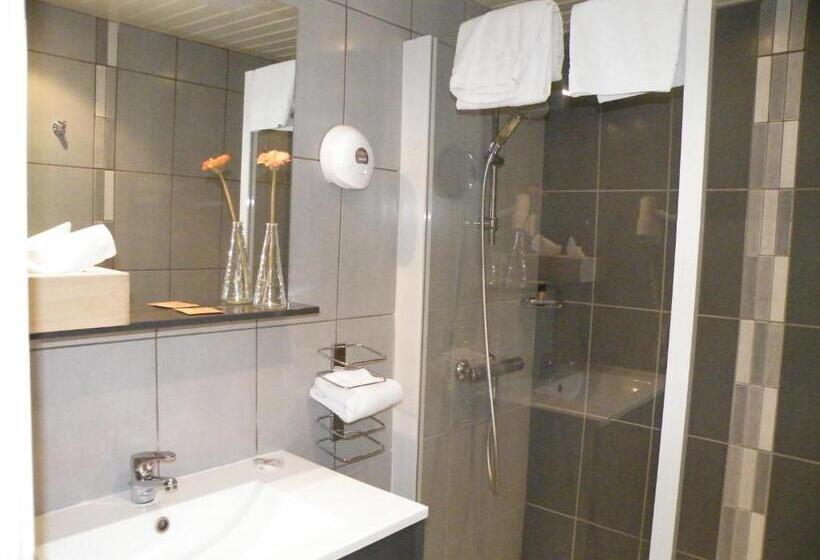 Классический Номер, Brit Hotel Roanne   Le Grand Hôtel