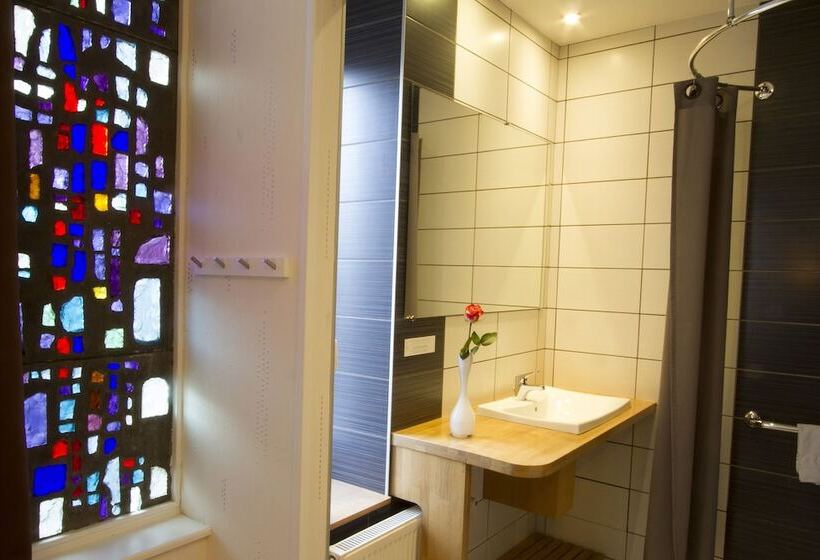 Номер Superior, Brit Hotel Roanne   Le Grand Hôtel