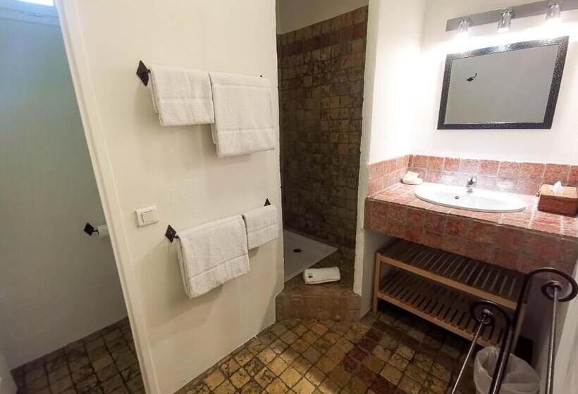 Номер Стандарт с Террасой, Hôtel Sous Les Figuiers   Piscine, Parking, Centre Ville