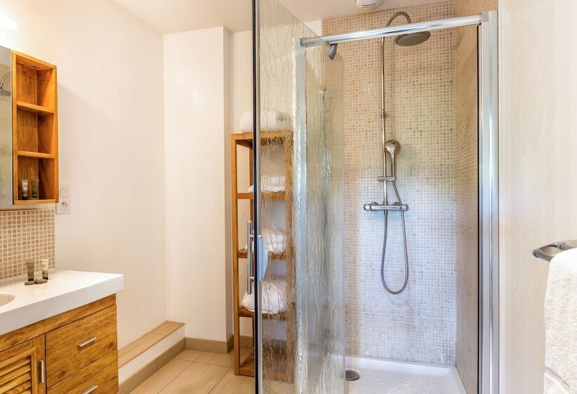 Апартаменты Deluxe 1 Спальня, Resid Spa Loire & Sevre