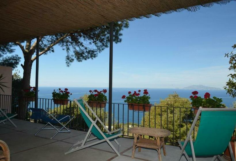 Номер Стандарт Вид на Море с Террасой, Le Ginestre Di Capri Bb & Holiday House