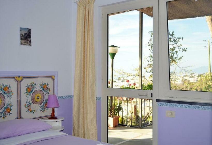 Номер Стандарт Вид на Море с Террасой, Le Ginestre Di Capri Bb & Holiday House