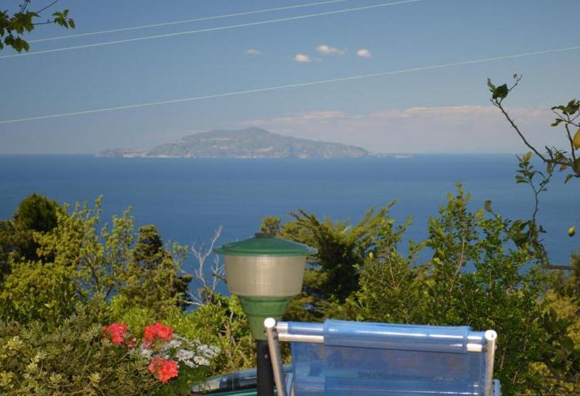 Четырехместный Номер Стандарт Вид на Море, Le Ginestre Di Capri Bb & Holiday House
