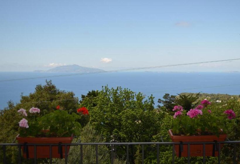 Четырехместный Номер Стандарт Вид на Море, Le Ginestre Di Capri Bb & Holiday House