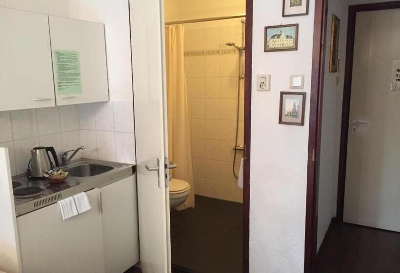 Номер Стандарт, Hanzestadslogement De Leeuw, In Het Centrum, Met Een Binnenplaats, Kamers Met Badkamer En Toilet En