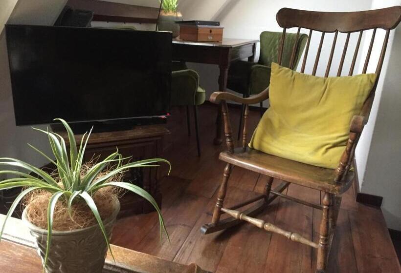 Люкс, Hanzestadslogement De Leeuw, In Het Centrum, Met Een Binnenplaats, Kamers Met Badkamer En Toilet En