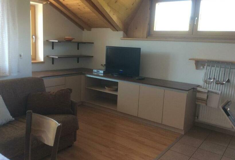 Апартаменты 1 Спальня с Балконом, Panorama Residence Schlossblick