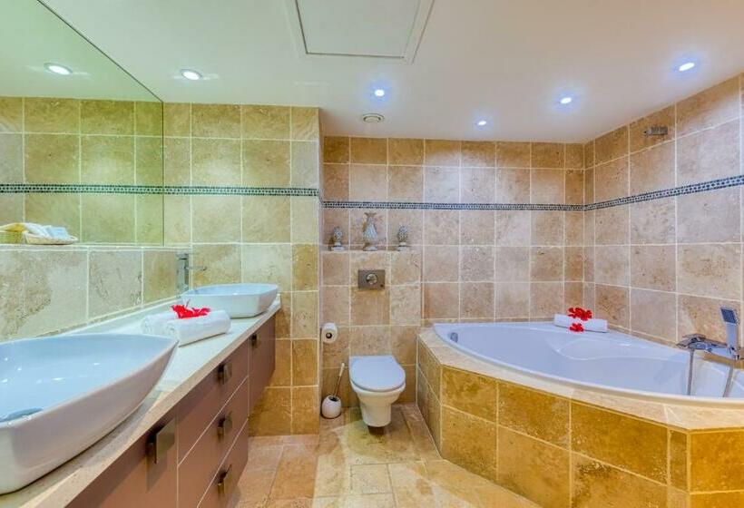 آپارتمان 1 خوابه با چشم‌انداز دریا, Le Domaine Anse Marcel Beach Resort