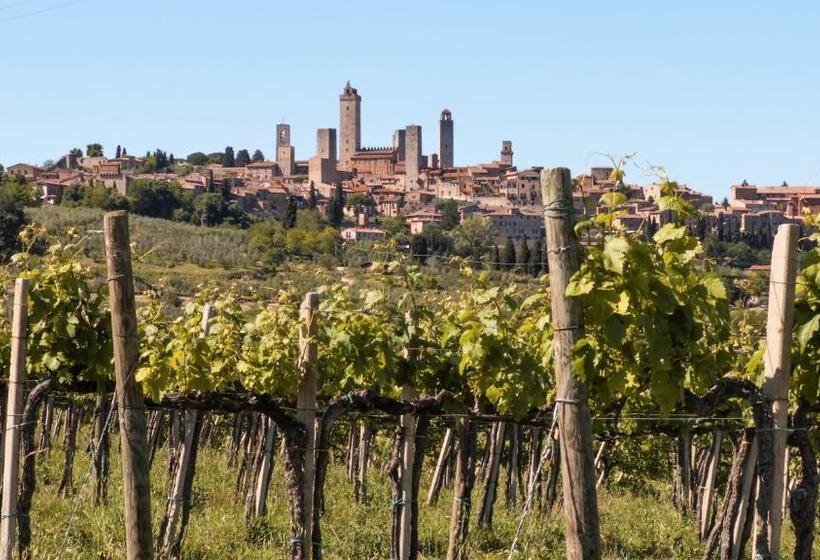 Номер Стандарт, Fattoria Abbazia Monte Oliveto