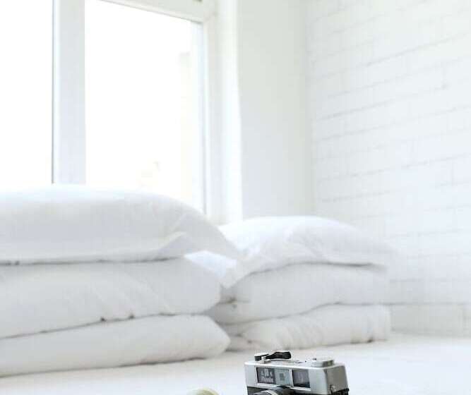 스탠다드 트리플 룸, Alley Youth Hostel