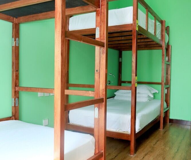공동 객실, Alley Youth Hostel