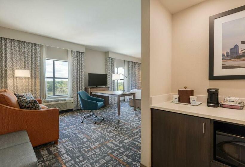 Студио Стандарт Кровать Кинг, Hampton Inn & Suites West Des Moines/sw Mall Area