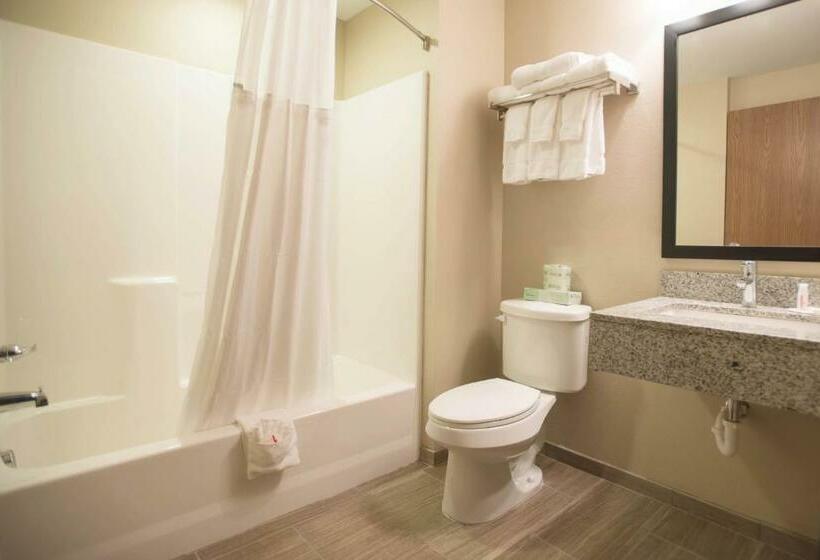 غرفة قياسية سرير كينج, Quality Inn & Suites