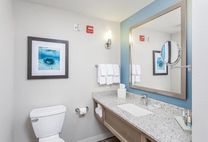 Номер Стандарт, Best Western Premier   The Tides