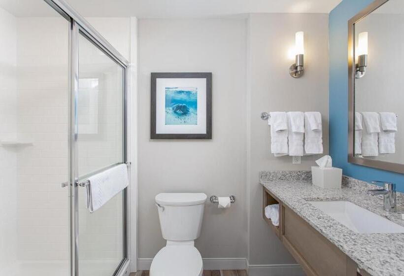 Стандартный Номер Кровать Кинг, Best Western Premier   The Tides