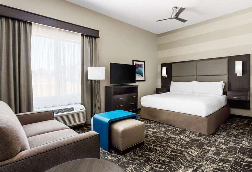 Студия Стандарт, Home2 Suites By Hilton Albany Wolf Rd