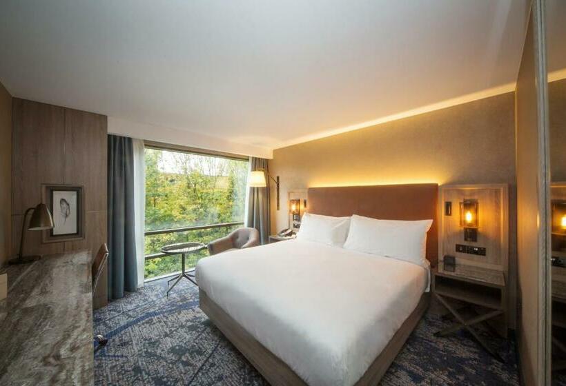 キングサイズベッドのスタンダードルーム, Doubletree By Hilton London Kingston Upon Thames