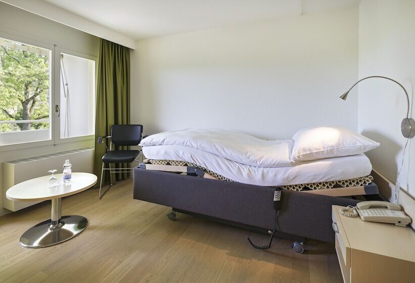 Номер Стандарт Индивидуальный, Vitalboutique Hotel Zurzacherhof