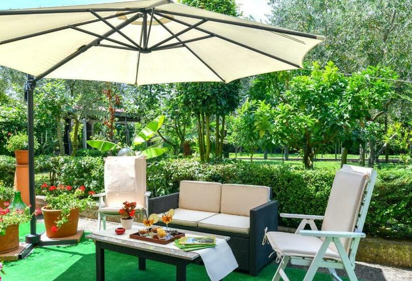 سوییت سوپریور, Green Paradise Affittacamere