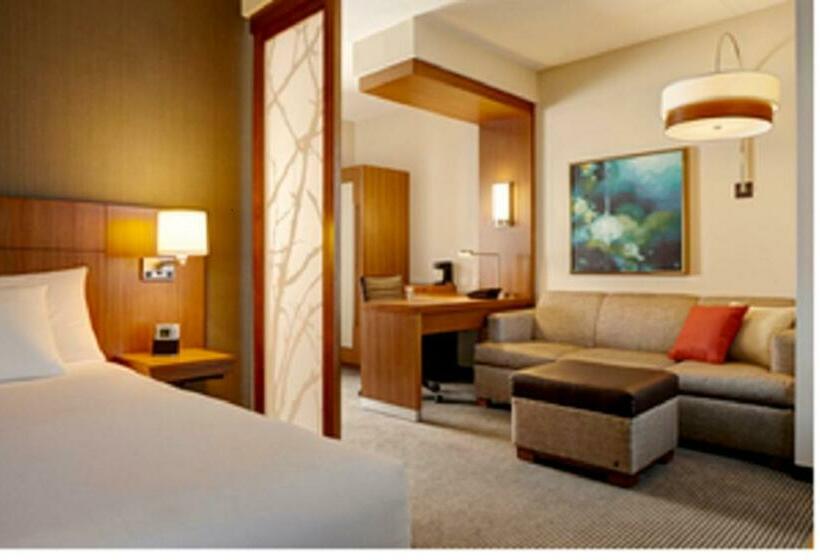 带大床的标准间, Hyatt Place Boca Raton