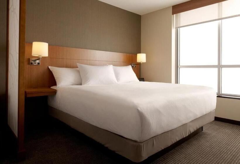 带大床的套房, Hyatt Place Boca Raton