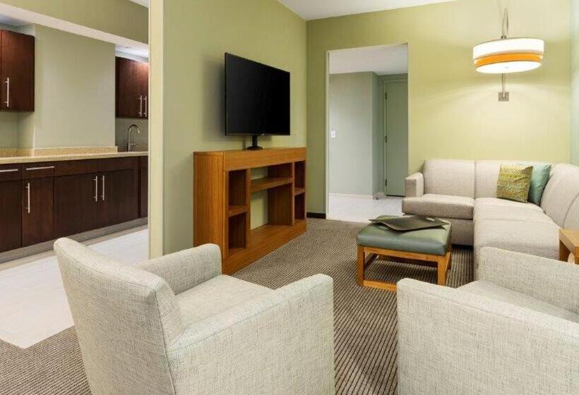 带大床的套房, Hyatt Place Boca Raton