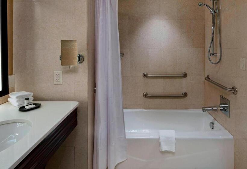 스탠다드 룸 킹사이즈 침대, Sheraton Austin Georgetown Hotel & Conference Center
