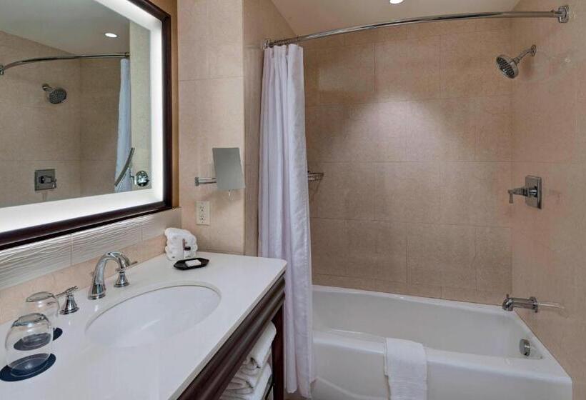 스탠다드 룸 풀장 전망, Sheraton Austin Georgetown Hotel & Conference Center