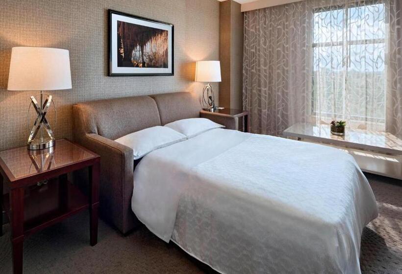이그제큐티브 스위트 킹침대, Sheraton Austin Georgetown Hotel & Conference Center