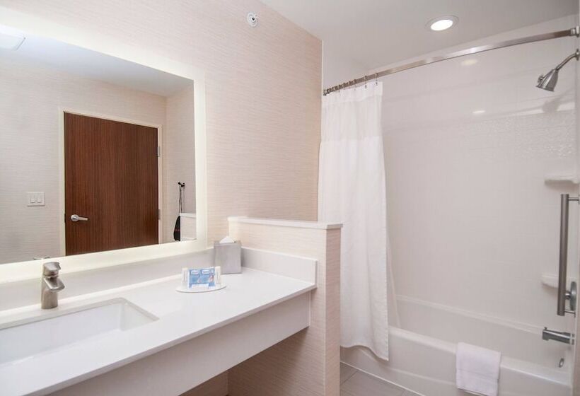 Люкс, Fairfield Inn & Suites By Marriott Dallas Plano North