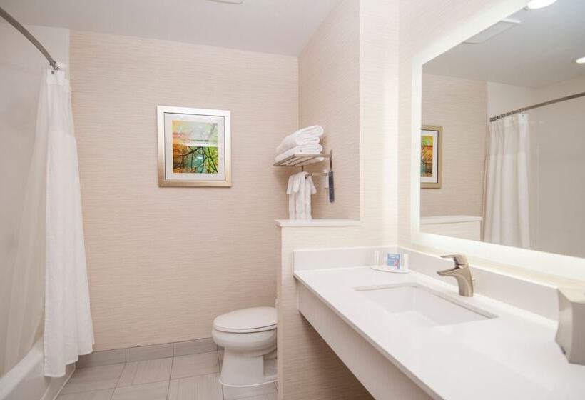 Люкс, Fairfield Inn & Suites By Marriott Dallas Plano North