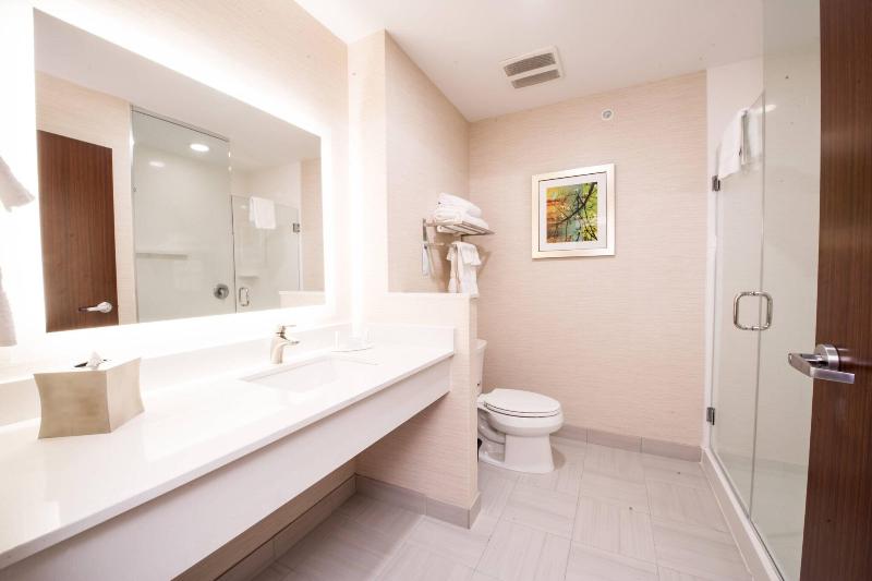 Люкс Кровать Кинг, Fairfield Inn & Suites By Marriott Dallas Plano North