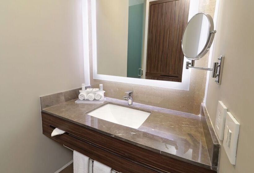 اتاق استاندارد, Holiday Inn Express & Suites Monterrey Valle, An Ihg