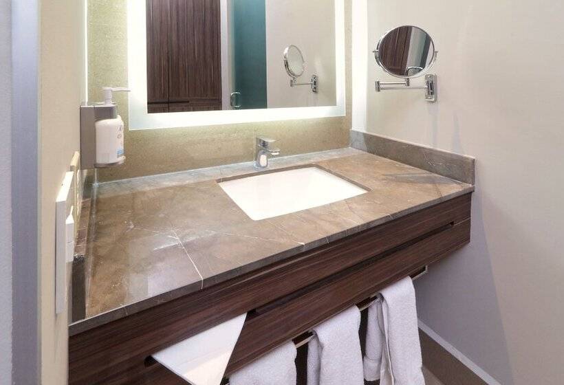اتاق استاندارد, Holiday Inn Express & Suites Monterrey Valle, An Ihg
