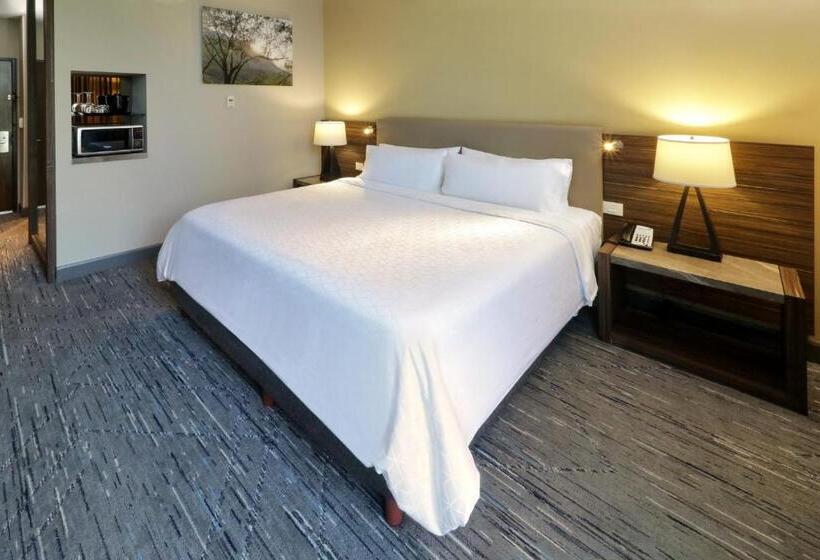 اتاق استاندارد با تخت بزرگ, Holiday Inn Express & Suites Monterrey Valle, An Ihg