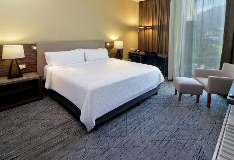 اتاق استاندارد با تخت بزرگ, Holiday Inn Express & Suites Monterrey Valle, An Ihg