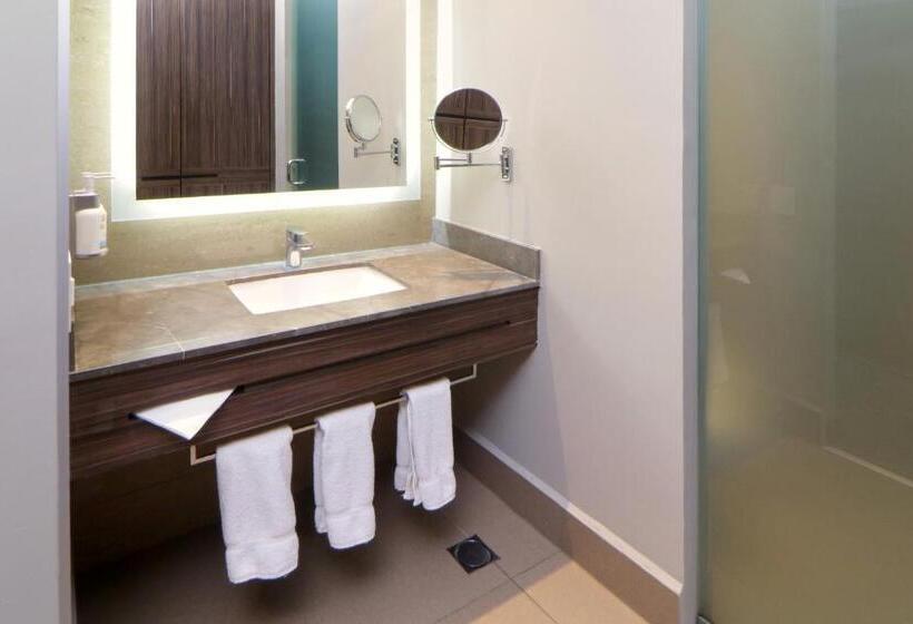 اتاق استاندارد با تخت بزرگ, Holiday Inn Express & Suites Monterrey Valle, An Ihg