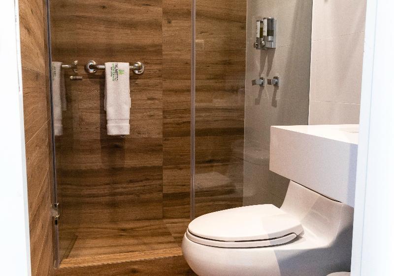 Номер Superior, Palmetto Hotel Business San Borja